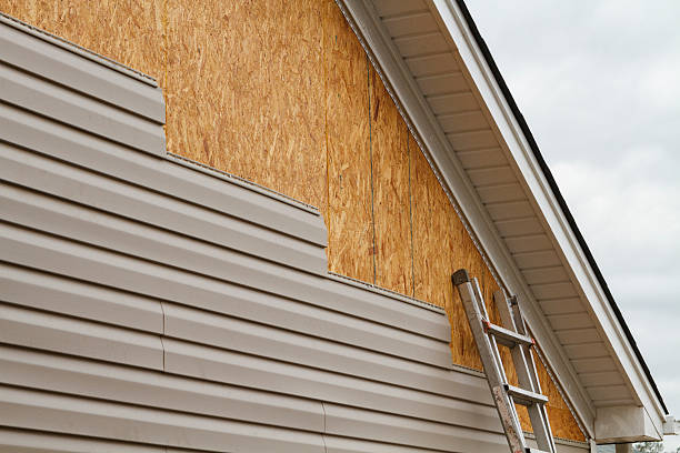 Professional Siding Repair technician working in Chester, VA